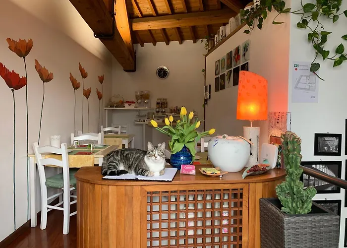 B&B CasanovaBed and Breakfast